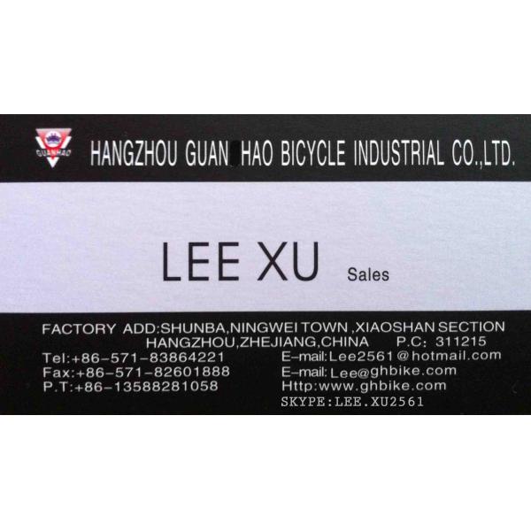 Vintage CR-MO Steel 4130 Lady Women Girl Inner 3 Speeds City Bike for Europe Market