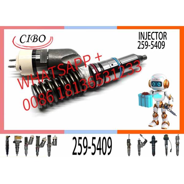 High Performance Fuel injector Assembly 250-1309 253-0608 259-5409 Common Rail Fuel Injector 292-3666 10R-1305 For