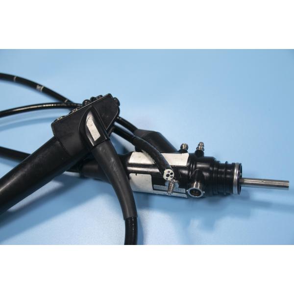 EG-590ZW Gastroscope Advanced Medical Endoscope For Veterinary Diagnostics
