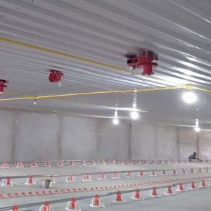 Electrical Environmentally Controlled Poultry House