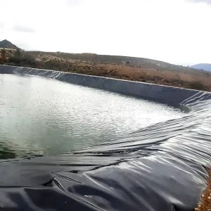 Quality Shrimp Fish Farm Pond Liner HDPE Geomembrane 0.5mm 0.75mm 1mm Water Resistant Design for sale