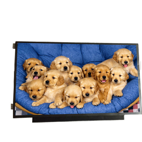 AUO 11.6 inch LCD Display Panel B116XTK01.1 with LCD Digitizer Touch Screens