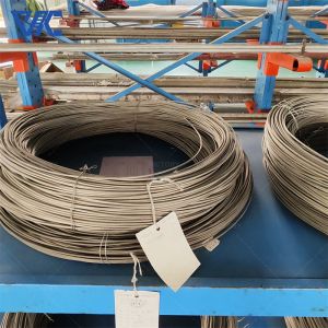 Pt-Rh10 Bare Wire Thermocouple for Precise Temperature Sensing and Corrosion