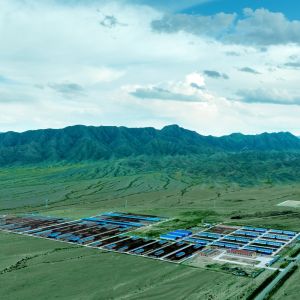 Prefab Galvanized Steel Structure Warehouse with 50-Year Lifespan