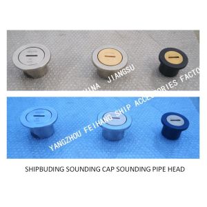 STAINLESS STEEL 316L SOUNDING PIPE HEAD A50 CB/T3778-1999 FOR MARINE STEEL DECK