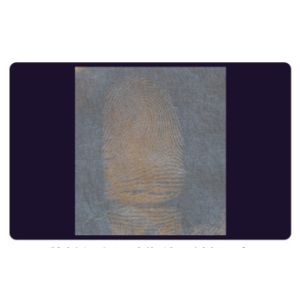 C205 BTDM-Ⅰ Vacuum coating fingerprint developing instrument