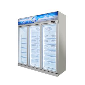Refrigeration Equipment Supplies Vertical Display Freezers With R290a 450L