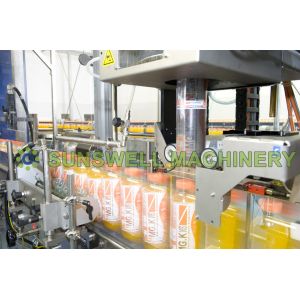Industrial Fruit Juice Filling Machine With Rinsing Filling Capping