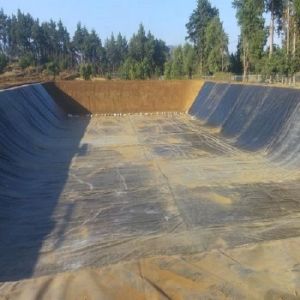 2mm Reinforced HDPE Geomembrane Liner for Durable and Long-lasting Swimming Pool