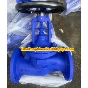 GG25 DIN flange end globe valve