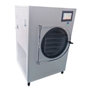 Self Service 2022 Top Sale Dryerfreeze Dryerhigh Quality Scale Freeze Dryer Farm