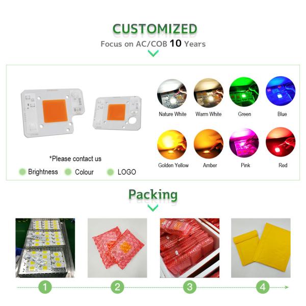 3000lm COB LED Module COB Chip 50Watt 6000K For Commercial Lighting Solutions