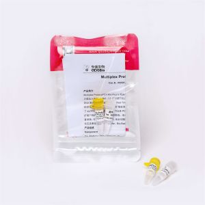 P2701-1 1ml 2× Master Mix PCR Concentrated Premix Multiplex Probe Plus U With