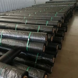 70GSM-210GSM Polypropylene Woven Geotextile Fabric For Road Construction