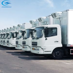 Quality Smart Control 10 Cylinder 50Hz Thermo King Refrigeration Units for sale