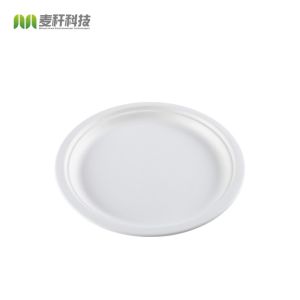 Round Disposable Plates Natural Sugarcane Bagasse Compostable Eco Friendly