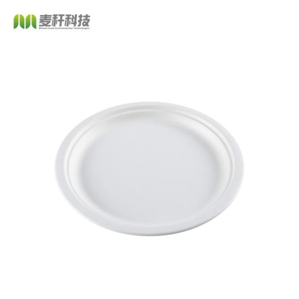 Round Disposable Plates Natural Sugarcane Bagasse Compostable Eco Friendly