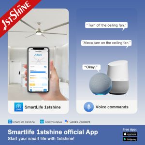 Industrial Space Cooling with 100-inch Ceiling Fan and Natural Wind 10-Year