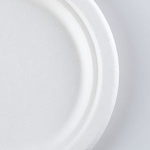 Biodegradable Food friendly fully Bagasse 6.75 inch Round Plates