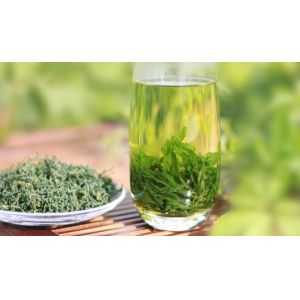 Quality gynostemma extract powder free samples,Gynostemma Pentaphyllum Powder --gynostemma extract for sale