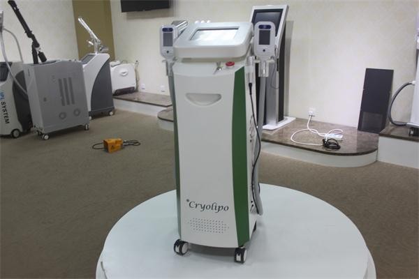 Buy 2016 Machine Manufacturers ! Standing Cryo Machine Fat Freeze Cryolipolysie machine at wholesale prices