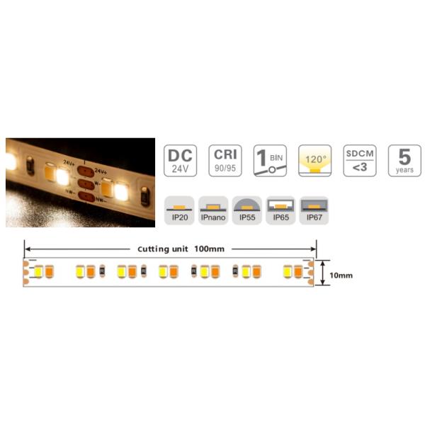 SMD 2835 CCT Tunable Flexible LED Strip 8mm 24V Dual White LED Strip Lights