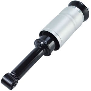 LR019993 Air Suspension Parts Air Suspension Strut