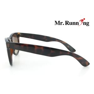gorgeous splendid lady leisure sunglasses MG018