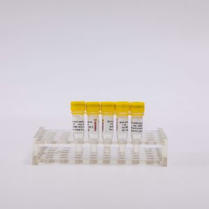 1ml 5ml 10ml Viral Nucleic Acid Extraction Kit Clear Liquid