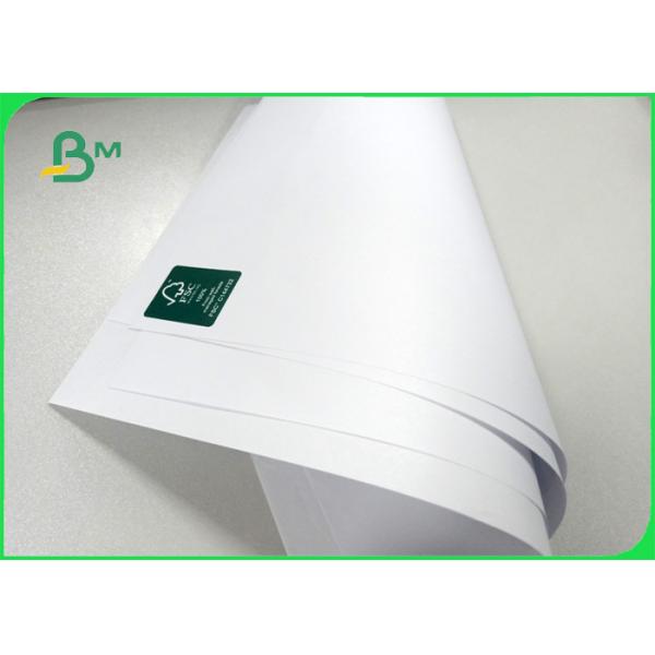 Width 61 * 86cm small stretchability ink absorption 75 - 100gsm offset paper in roll