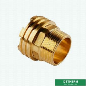 Male Brass Inserts Customized Designs For Ppr Fittings