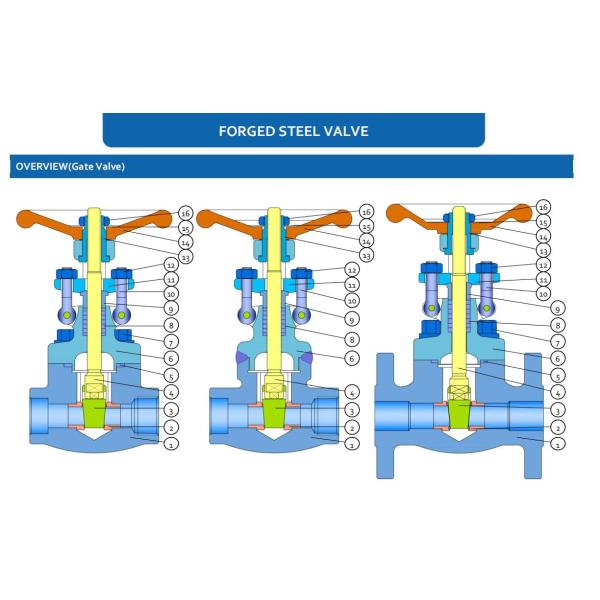API602 BS6364 Extended Stem Pressure Seal Gate Valve A182 F304L Cryogenic 1 Inch DN25 CL1500 BW