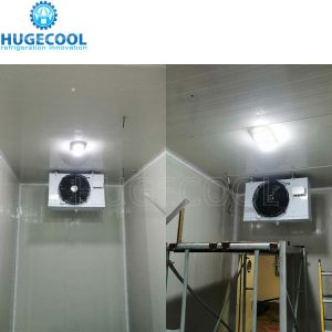 Screw Compressor Walking Cooler for Quick Freezing and Customized Modular