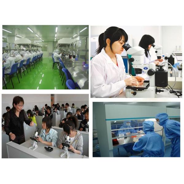 C- Frame Structure Chemical Lab Furniture Workstation For Experiment / Research