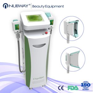 China Two handles weight loss system cryolipolysis slimming machine on sale