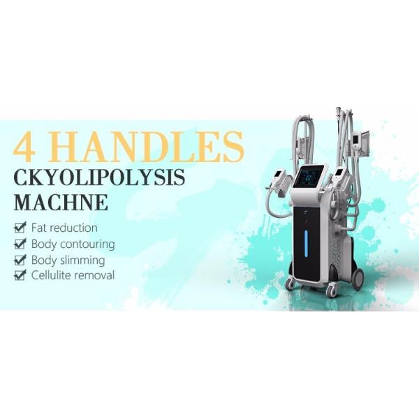 Buy Cool sculpt fat freezing treatment Cryolipolysis fat freeze slimming at wholesale prices