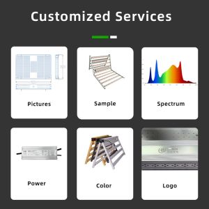 12 Bar 1200W LED Grow Lights For Indoor Plants Full Spectrum