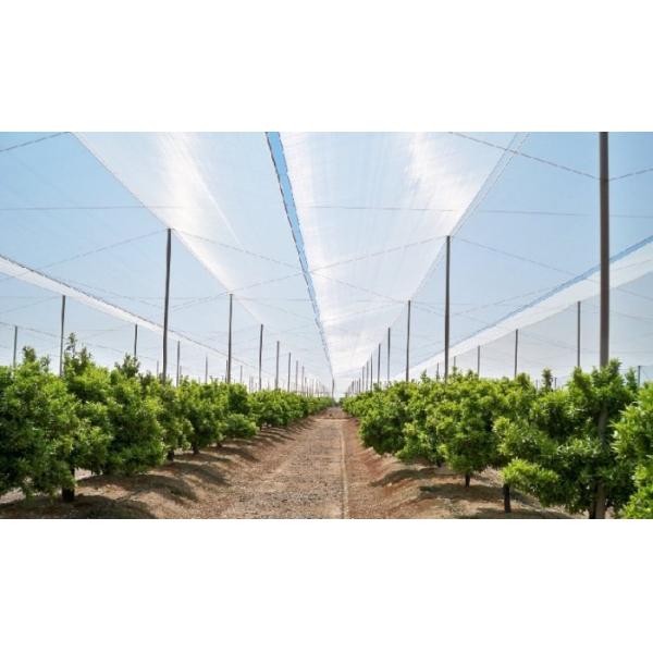 Buy Greenhouses Anti Insect Screen Mesh Disease Prevention Insect Proof Mesh at wholesale prices