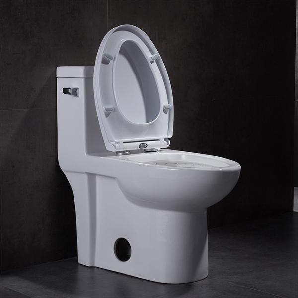 Buy 21 Inch Round Bowl One Piece Handicap Toilet For Disabled Persons Tall Commodes at wholesale prices