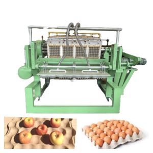Efficiently Increase Production Capacity Paper Egg Tray Production Line Power
