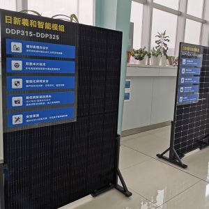 China Manufacturer Bifacial Solar Panels Customized Design PV Module For Home