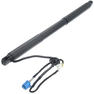 1668900100 Gas Spring Boot