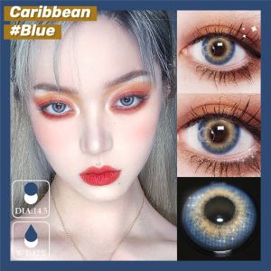 ISO13485 Private Label Coloured Blue Eye Contact Lenses For Brown Eyes