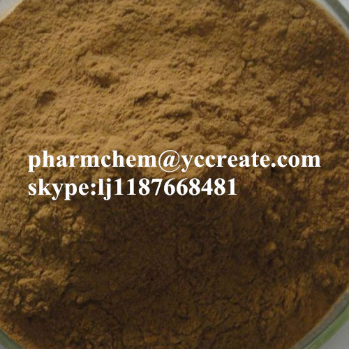 Natural and Organic Herb Extract Anti Fatigue Natural Maca Extract