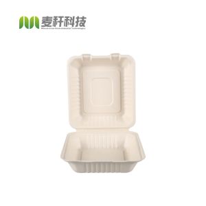 Quality biodegradable disposable sugarcane bagasse takeaway food container packaging clamshell lunch box for sale