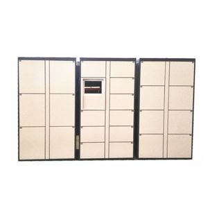 Intelligent Smart Electronic Laundry Room Lockers Dry Cleaning Locker With