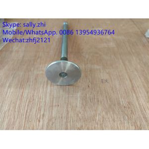 YUCHAI exhaust valve 4110000560144, yuchai engine spare parts for wheel loader