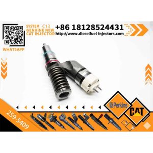 Diesel Fuel Injector 253-0608 259-5409 Injection Valves for Cat C11 C13