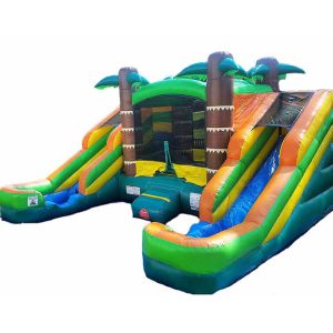 Wet Or Dry Double Slide Tropical Bounce House Combo Jumping Castle For Kids