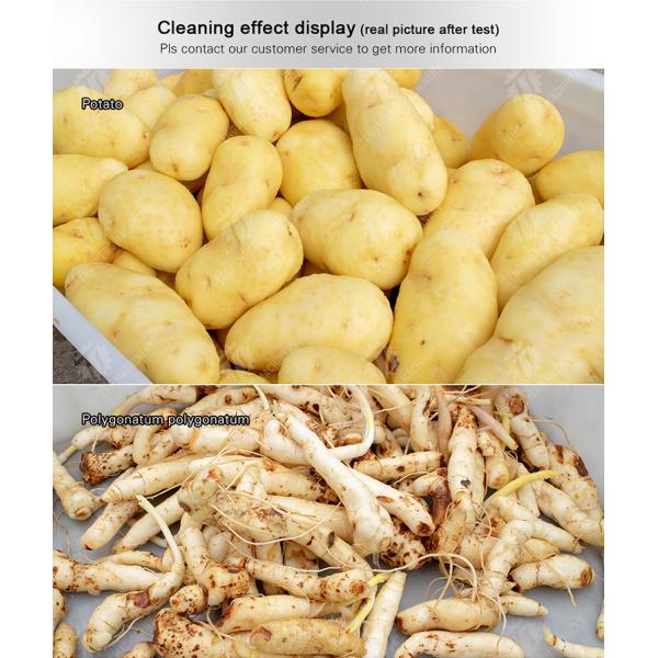 Potato Carrot Taro Sweet potato Yam Saiko persimmon Brush washing and peeling machine processing production Destoning Supplying